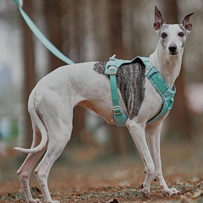 RYNX | Waterproof Breathable Anti-Pull Dog Harness and Multifunctional Leash