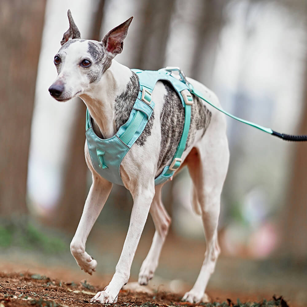 RYNX | Waterproof Breathable Anti-Pull Dog Harness and Multifunctional Leash