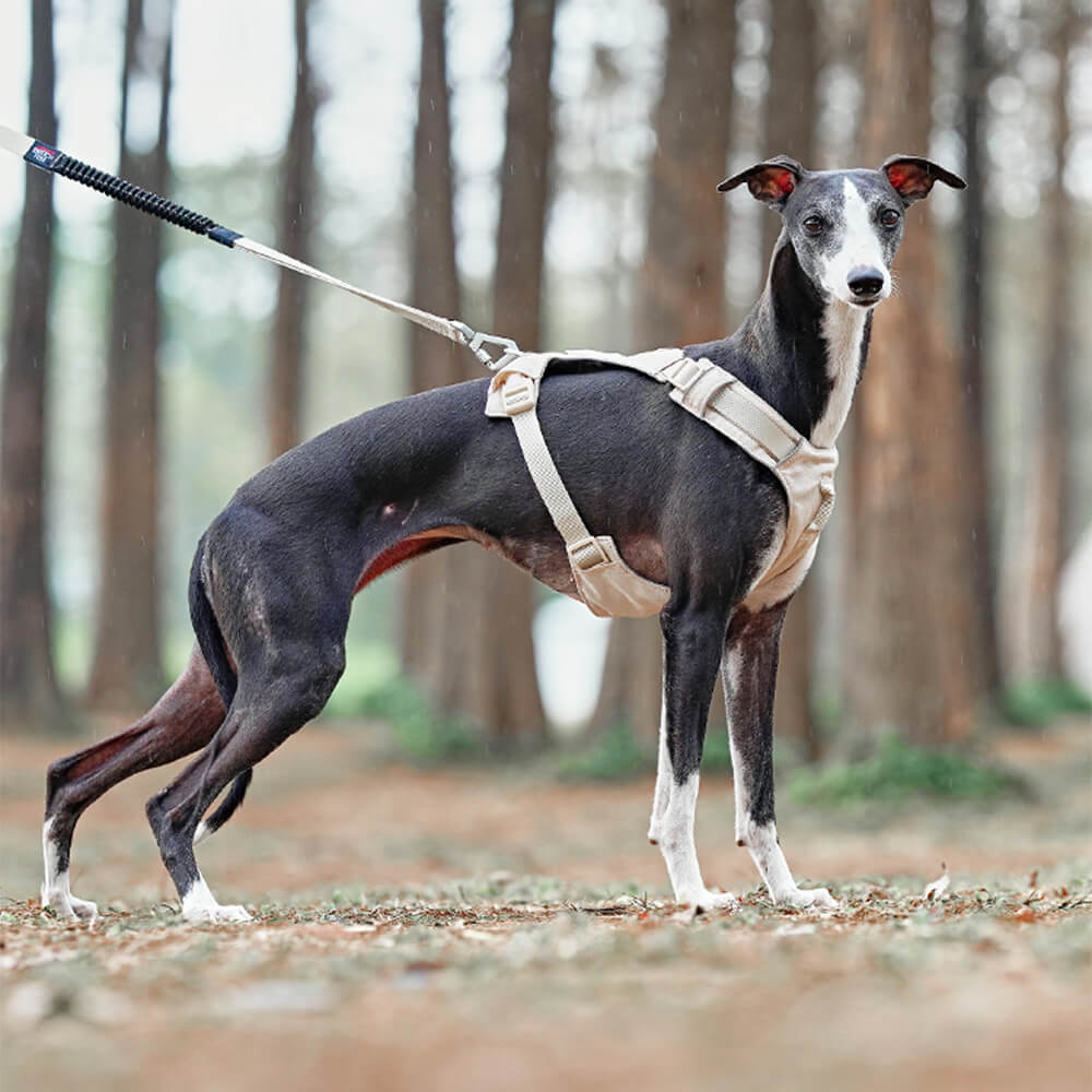 RYNX | Waterproof Breathable Anti-Pull Dog Harness and Multifunctional Leash
