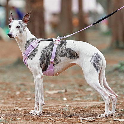 RYNX | Waterproof Breathable Anti-Pull Dog Harness and Multifunctional Leash