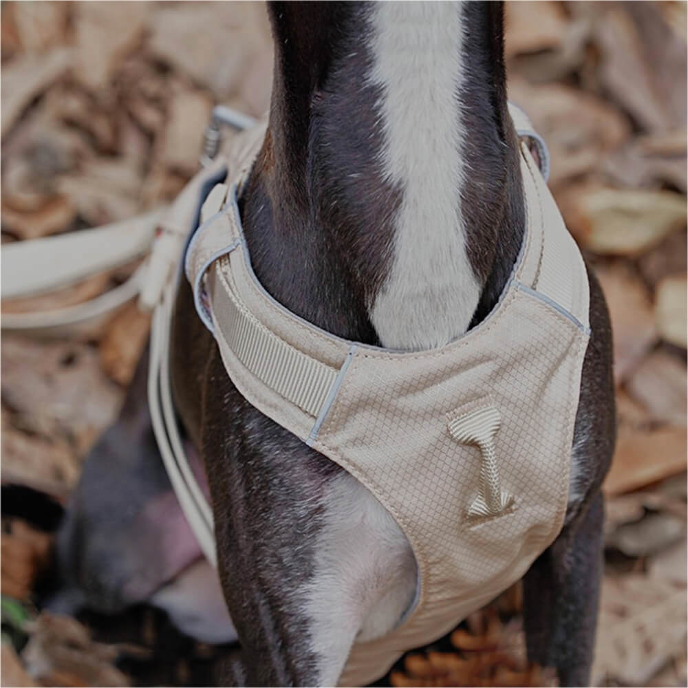 RYNX | Waterproof Breathable Anti-Pull Dog Harness and Multifunctional Leash