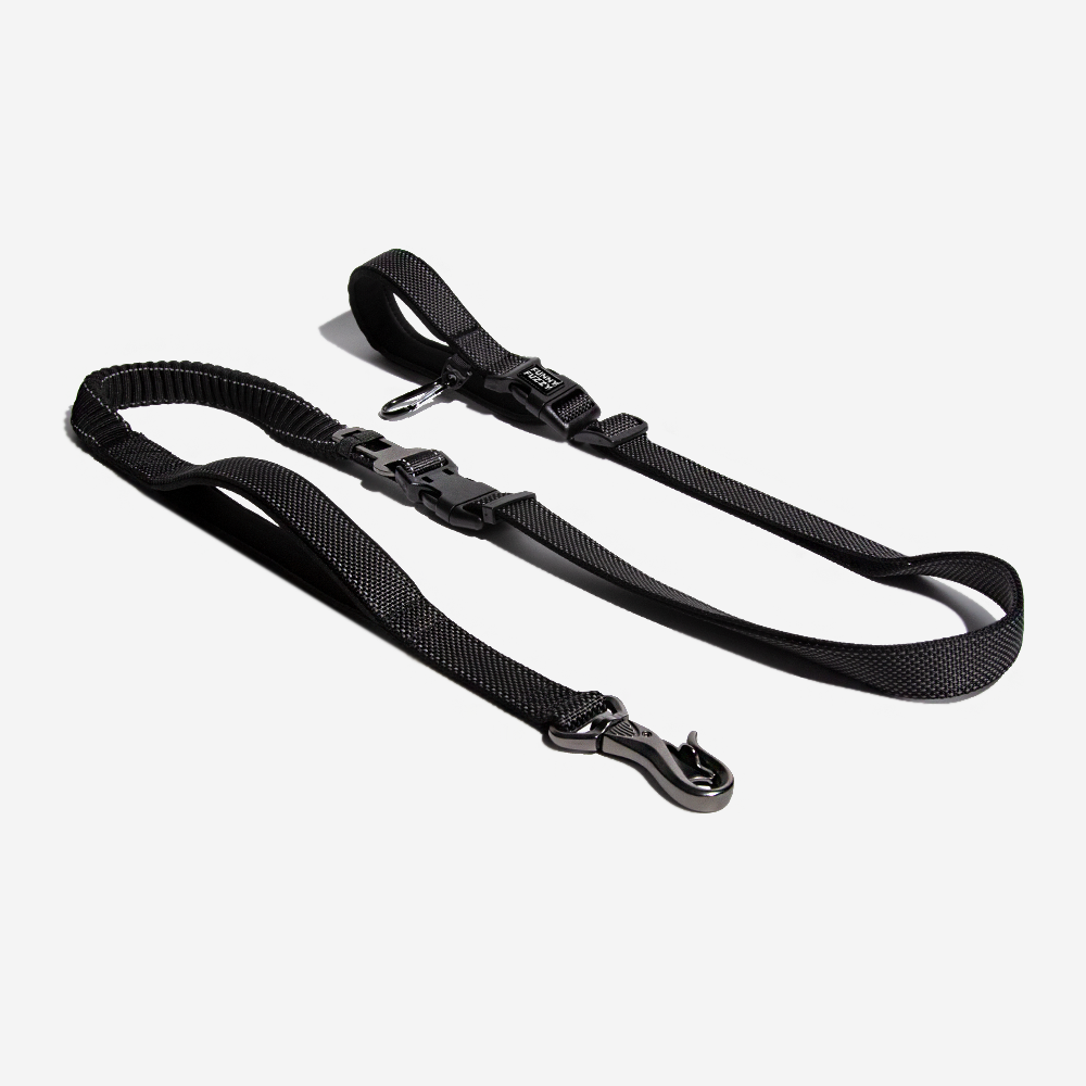 RYNX | Hands Free Dog Leash With Safety Seat Belt