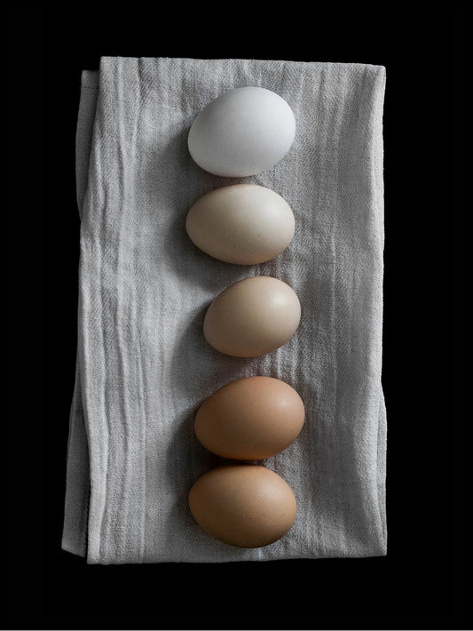 Rynx | Eggs