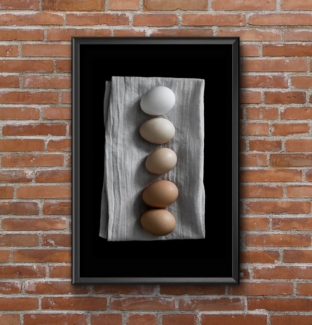 Rynx | Eggs