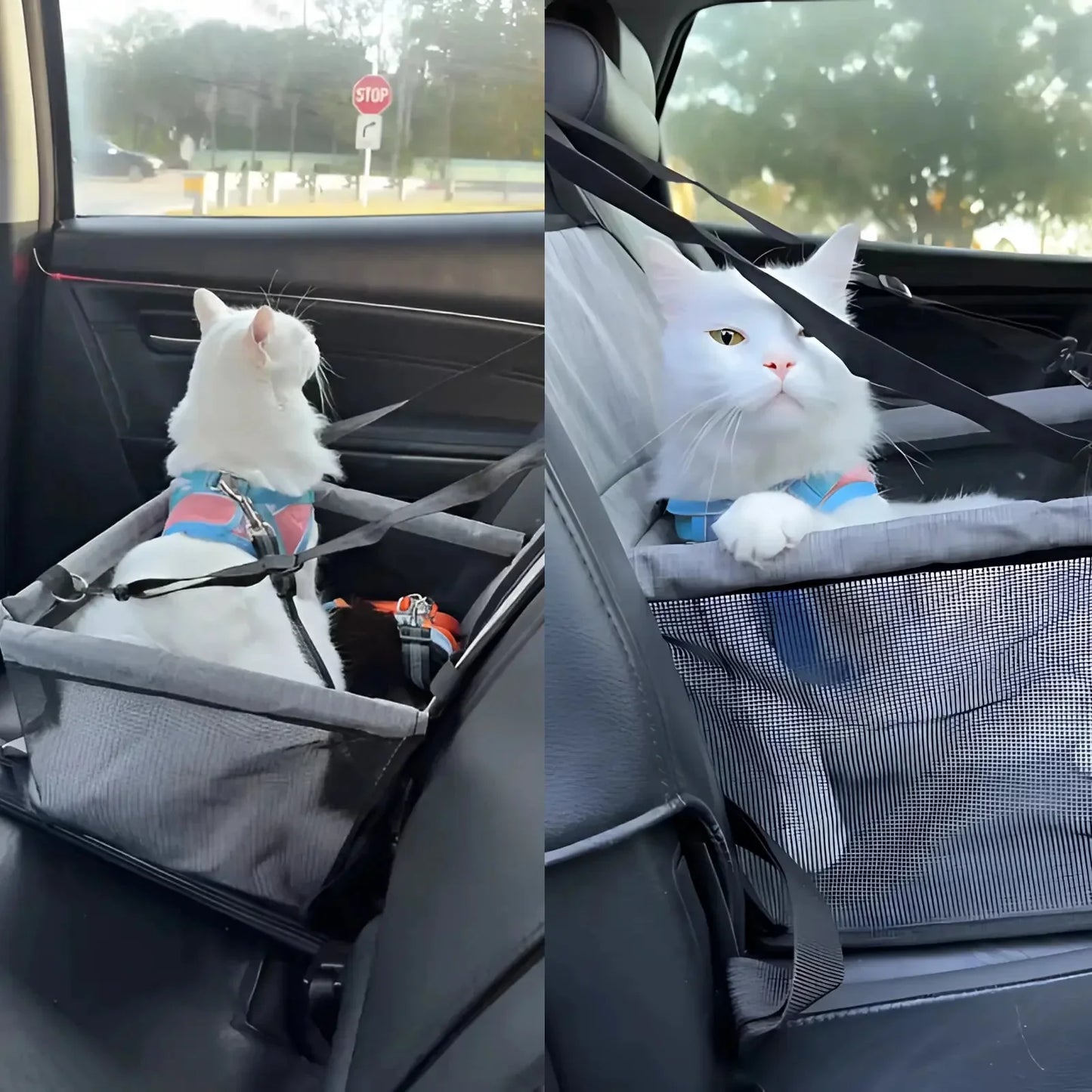 Rynx | ComfyPaws Car Seat