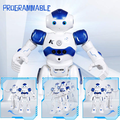 Rynx | Gesture Sensitive Remote Control Robot Toy for Kids