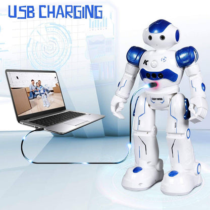 Rynx | Gesture Sensitive Remote Control Robot Toy for Kids