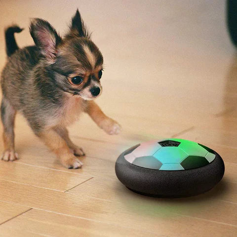 RYNX | Pro – Innovative Interactive Toy for Dogs