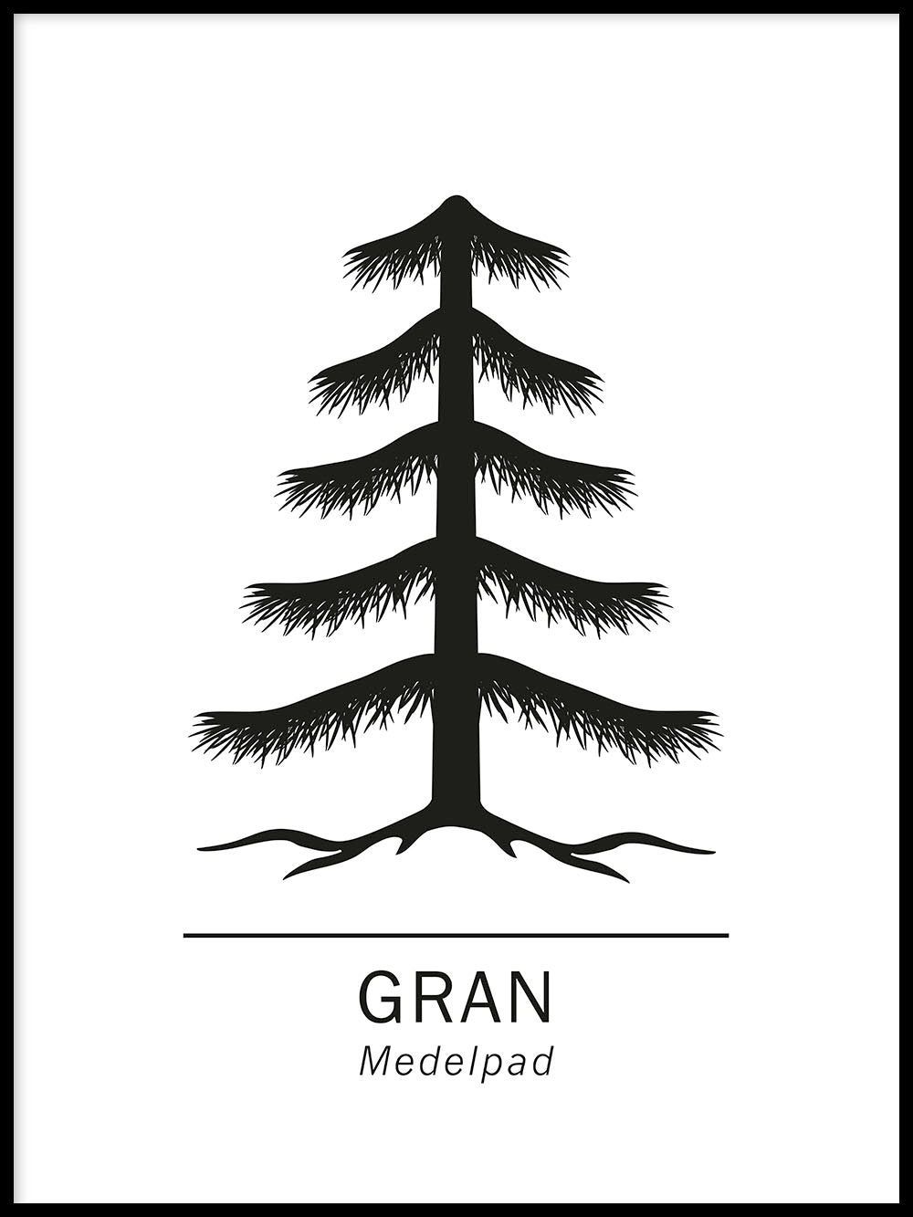 Rynx | Spruce