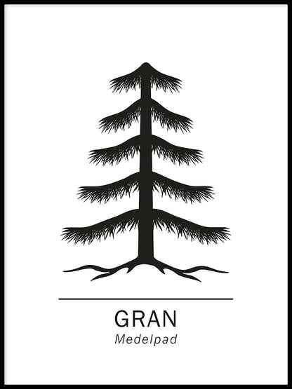 Rynx | Spruce
