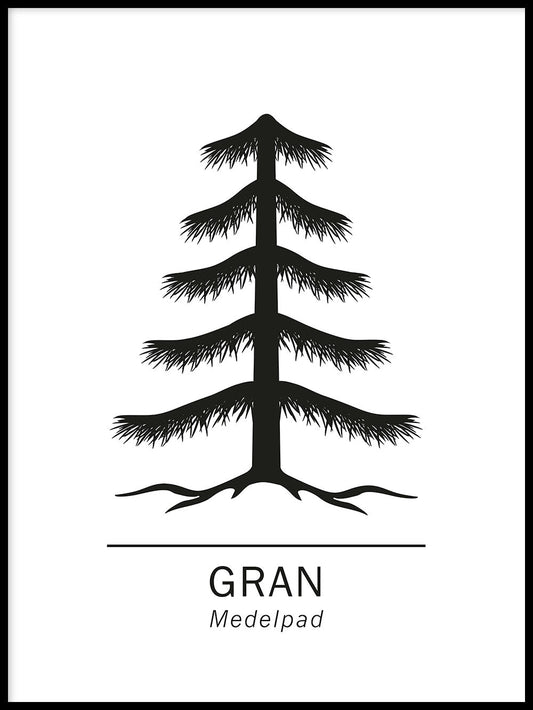 Rynx | Spruce