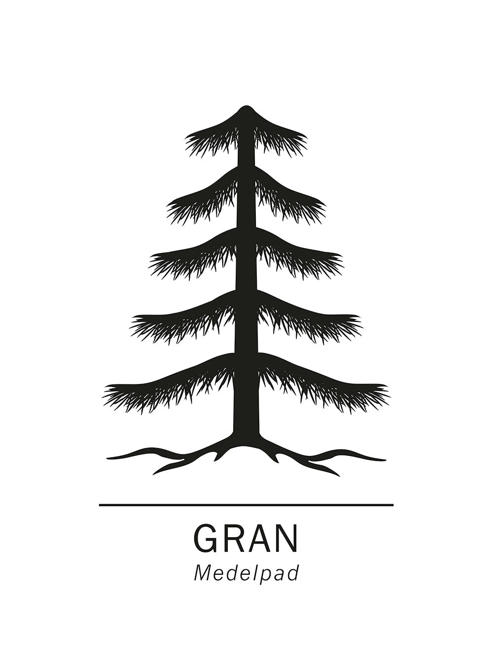 Rynx | Spruce