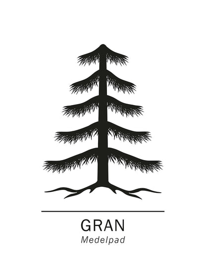Rynx | Spruce