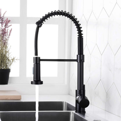 Rynx | High Arc Spring Kitchen Faucet