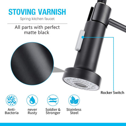 Rynx | High Arc Spring Kitchen Faucet