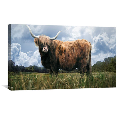 Rynx | Highland Field Canvas