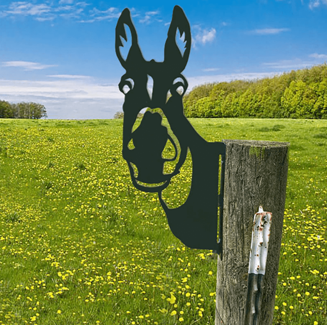 Rynx | Peek-A-Boo - Animal Garden Decoration