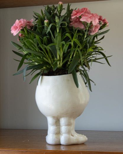 Rynx | FunnyFace Character Plant Pots | Funny Flower Pots with Personality | Indoor & Outdoor Decor