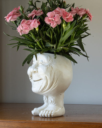 Rynx | FunnyFace Character Plant Pots | Funny Flower Pots with Personality | Indoor & Outdoor Decor