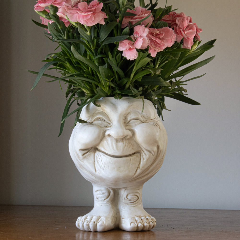 Rynx | FunnyFace Character Plant Pots | Funny Flower Pots with Personality | Indoor & Outdoor Decor