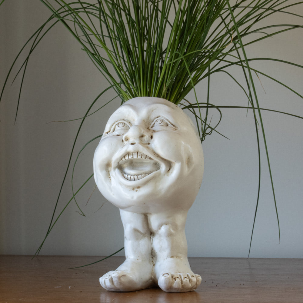 Rynx | FunnyFace Character Plant Pots | Funny Flower Pots with Personality | Indoor & Outdoor Decor