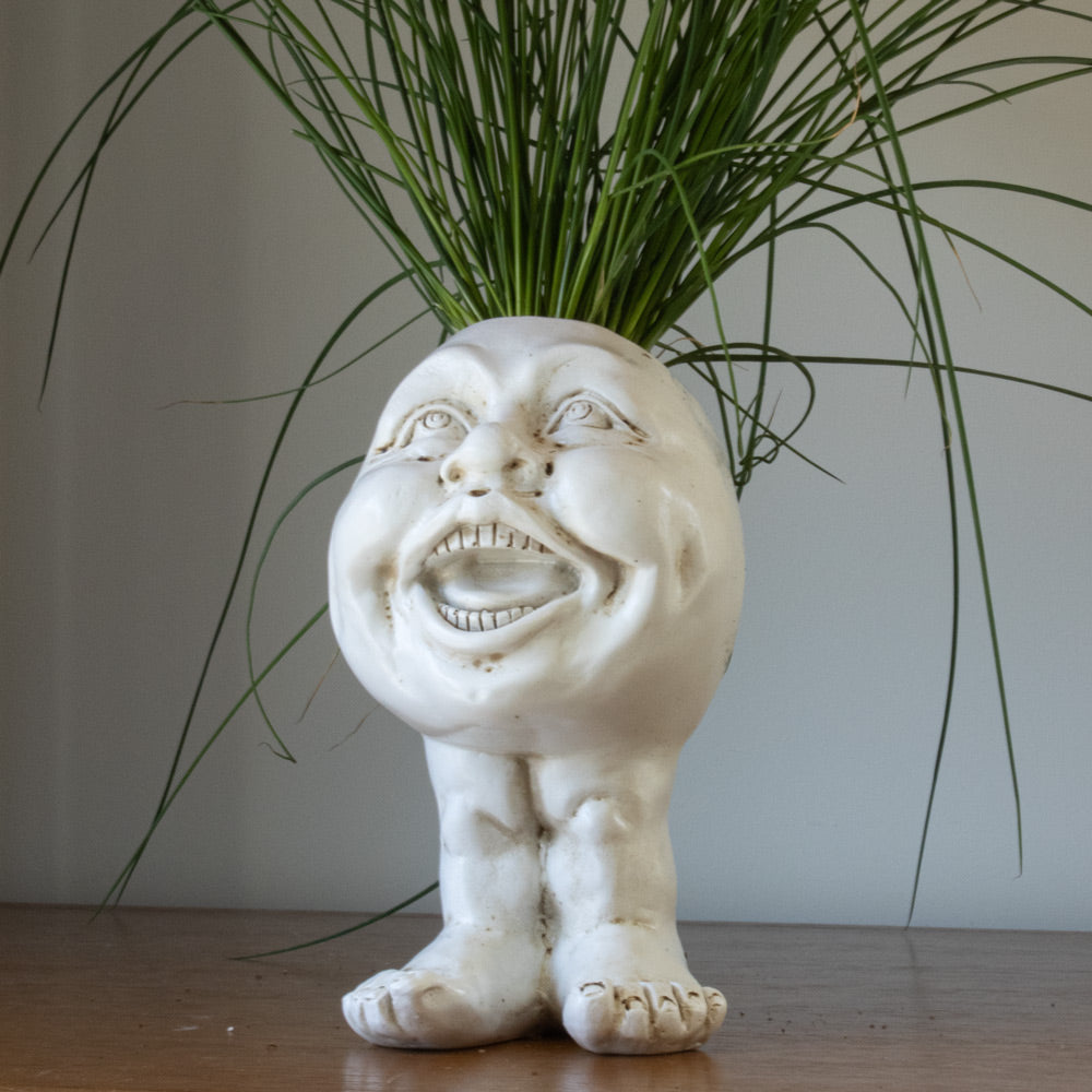 Rynx | FunnyFace Character Plant Pots | Funny Flower Pots with Personality | Indoor & Outdoor Decor
