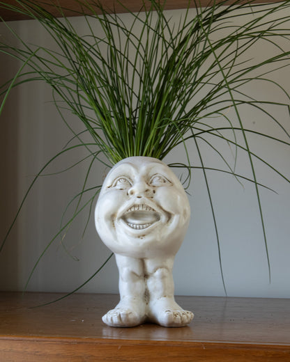 Rynx | FunnyFace Character Plant Pots | Funny Flower Pots with Personality | Indoor & Outdoor Decor