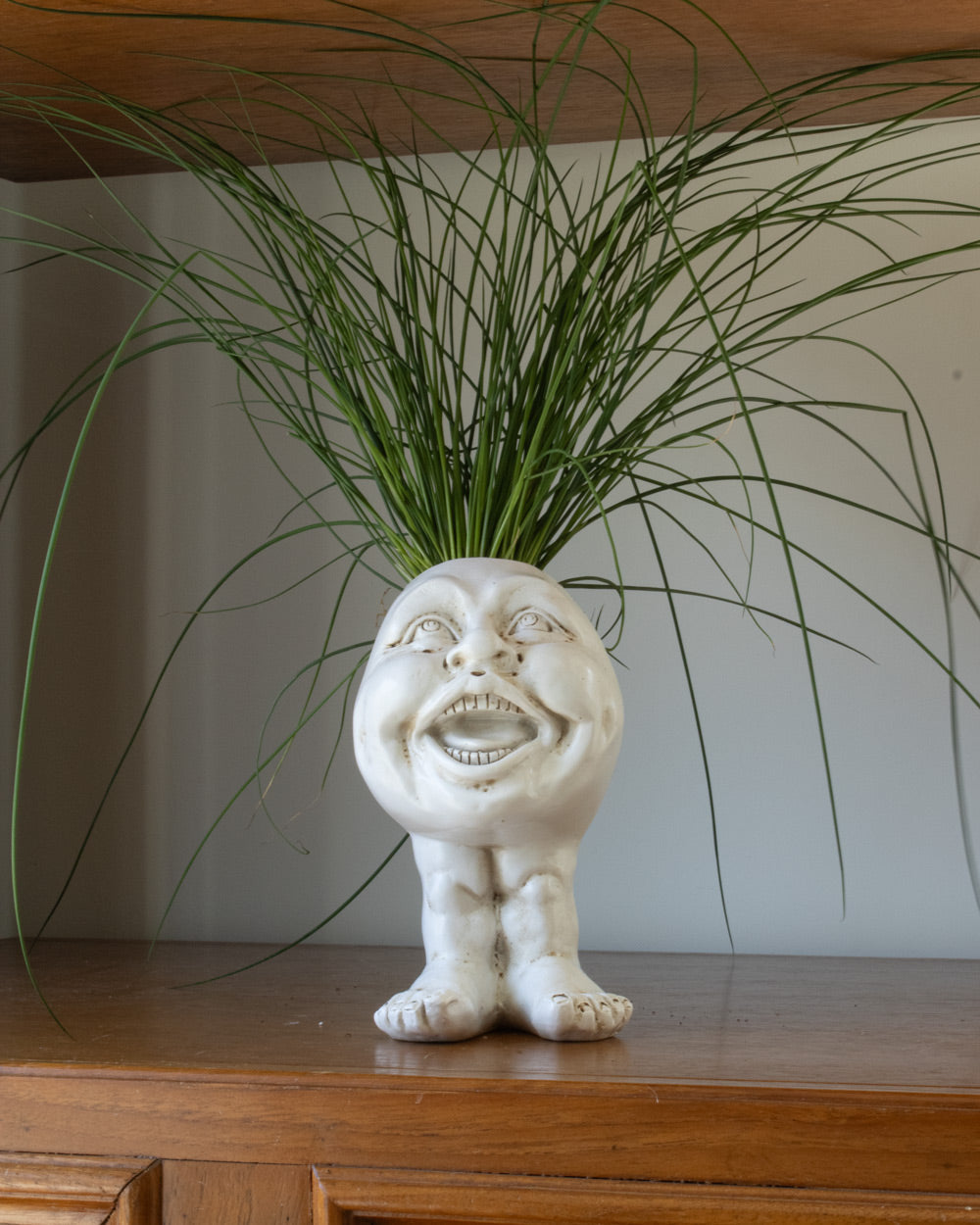 Rynx | FunnyFace Character Plant Pots | Funny Flower Pots with Personality | Indoor & Outdoor Decor