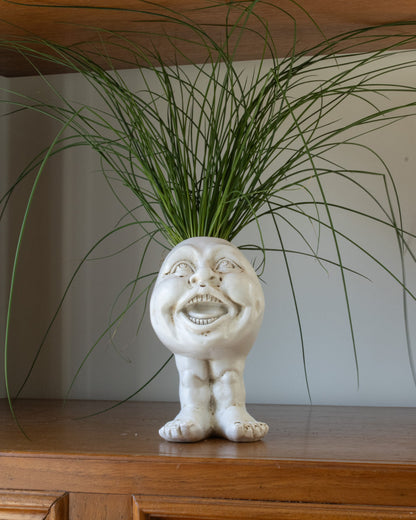 Rynx | FunnyFace Character Plant Pots | Funny Flower Pots with Personality | Indoor & Outdoor Decor