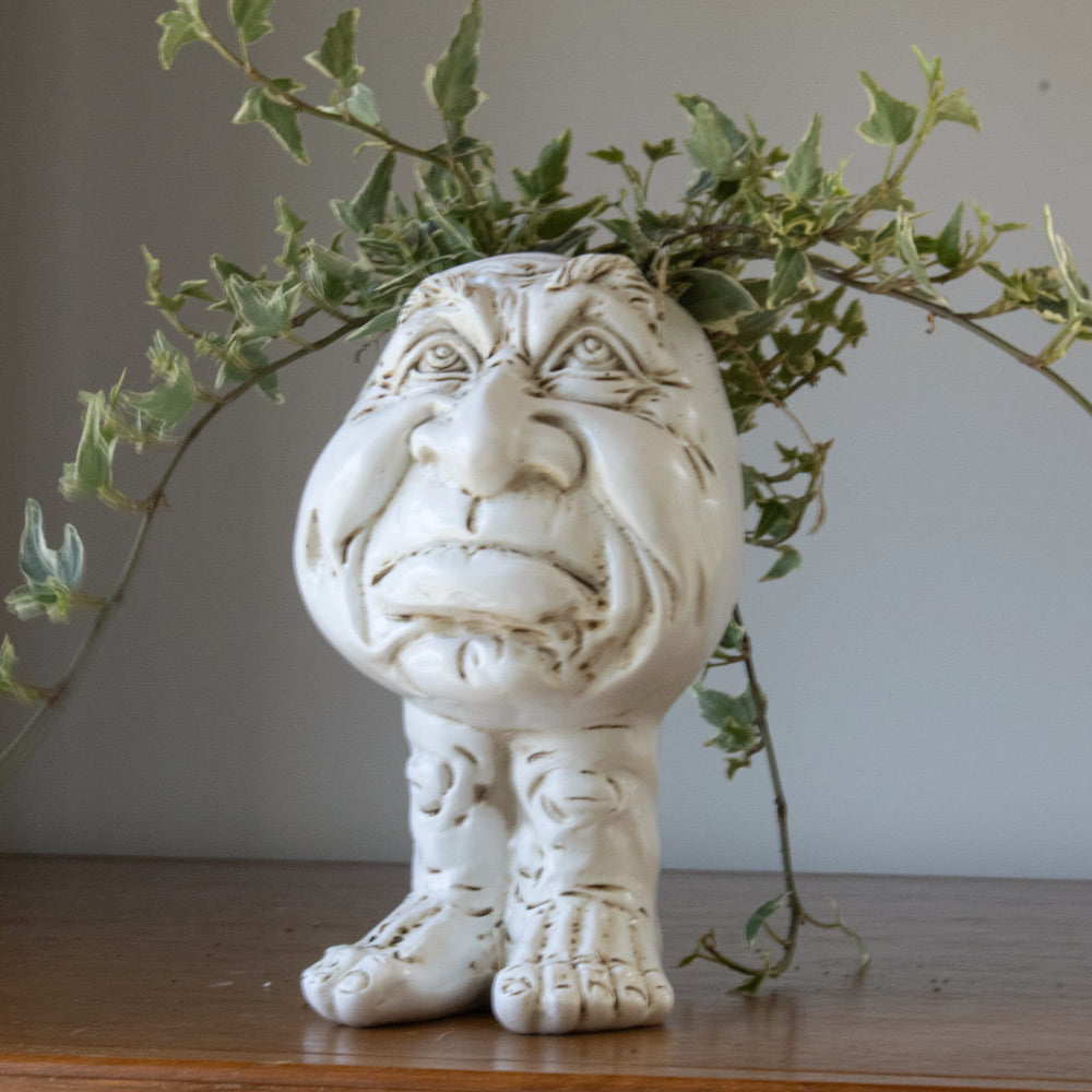 Rynx | FunnyFace Character Plant Pots | Funny Flower Pots with Personality | Indoor & Outdoor Decor