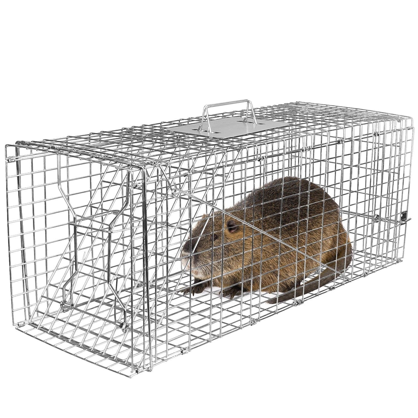 Rynx | Human Fang and Release Live Animal Collapsible Galvanized Wire Basket