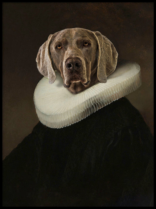 Rynx | Dog 2