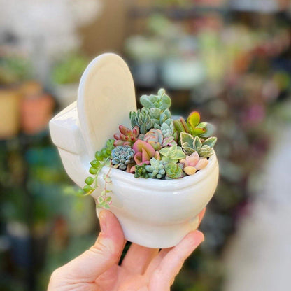 Rynx | ClayElegance Ceramic Succulent Holder | Handmade | Decorative Plant Holder for Bathroom