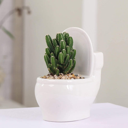 Rynx | ClayElegance Ceramic Succulent Holder | Handmade | Decorative Plant Holder for Bathroom