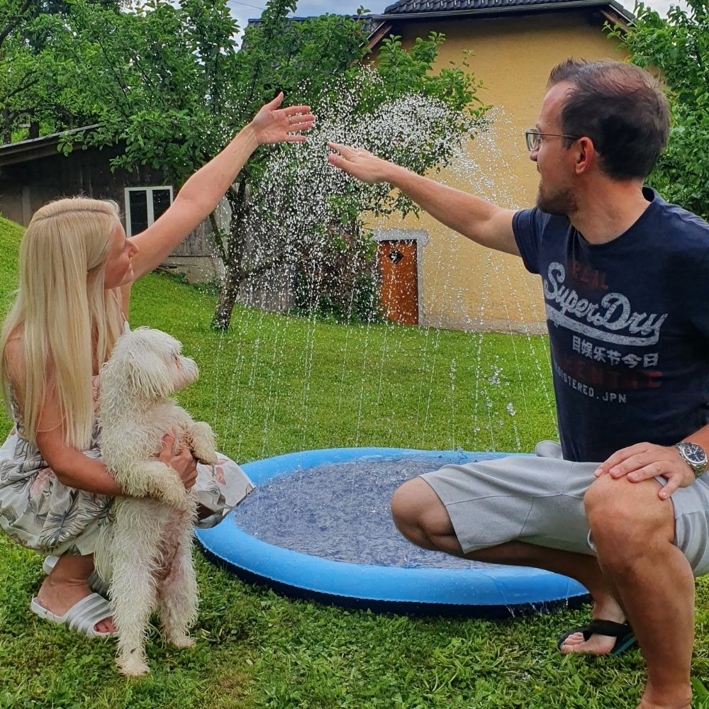 Rynx | AquaPaws - Refreshing playtime for any dog!
