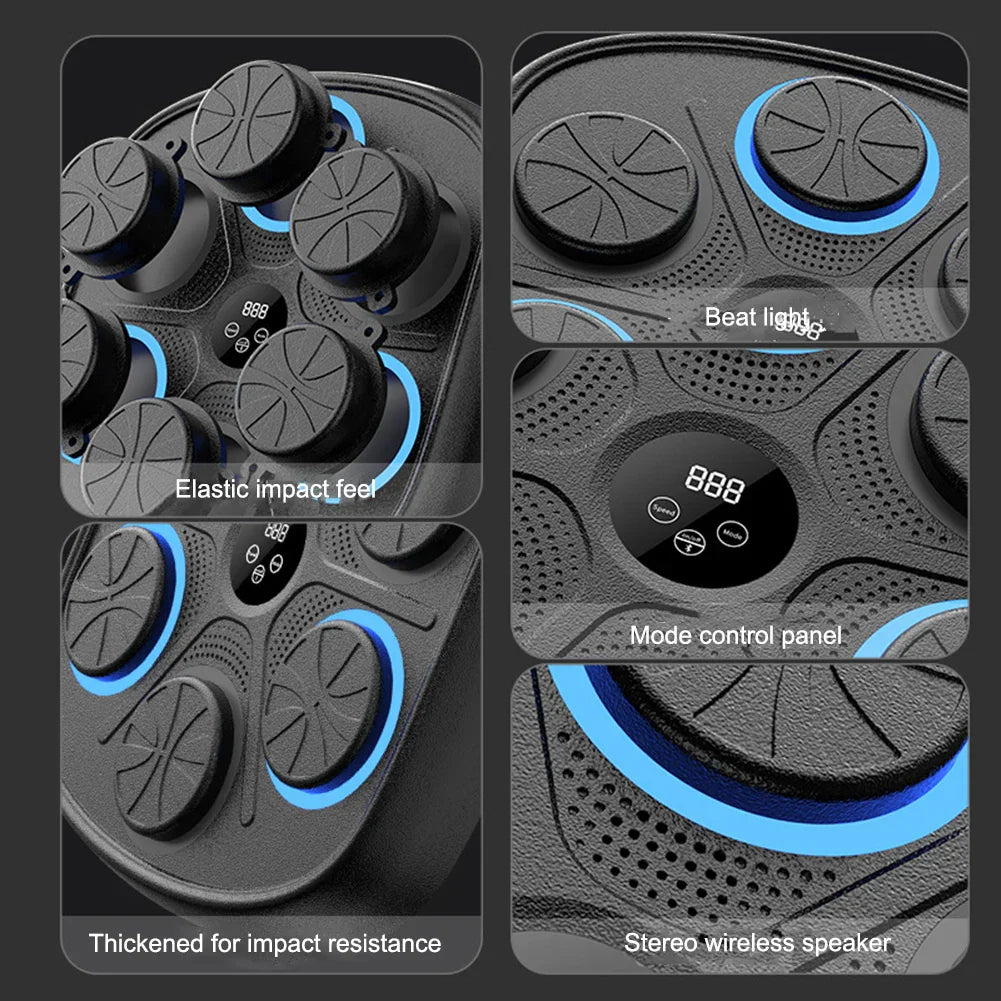 Rynx | Box Trainer | Master Your Inner Strength