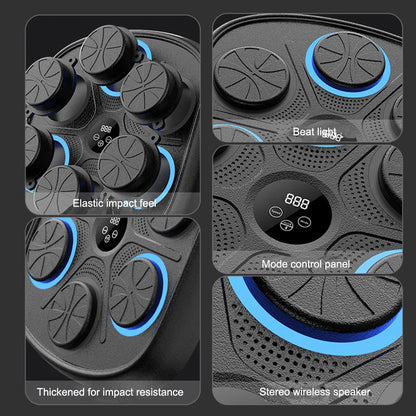 Rynx | Box Trainer | Master Your Inner Strength