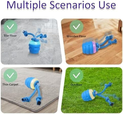 RYNX | Dog toy with motion control