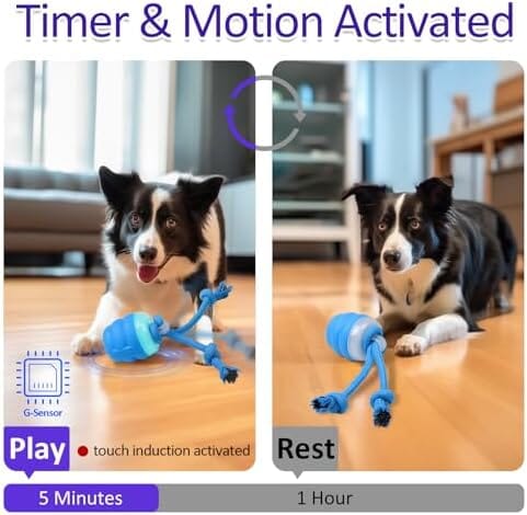 RYNX | Dog toy with motion control