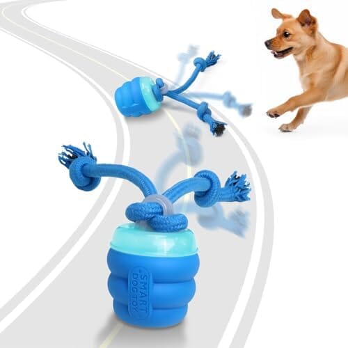 RYNX | Dog toy with motion control