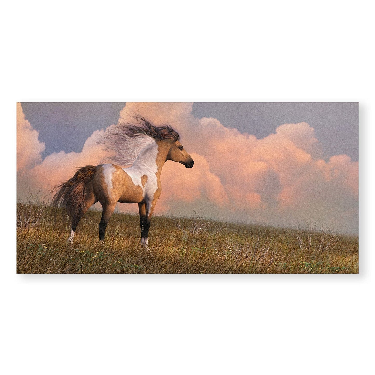 Rynx | In the West Canvas