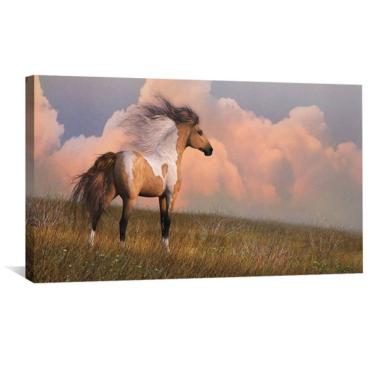Rynx | In the West Canvas