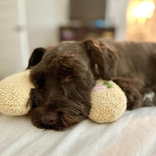 Rynx | Relaxation Pillow