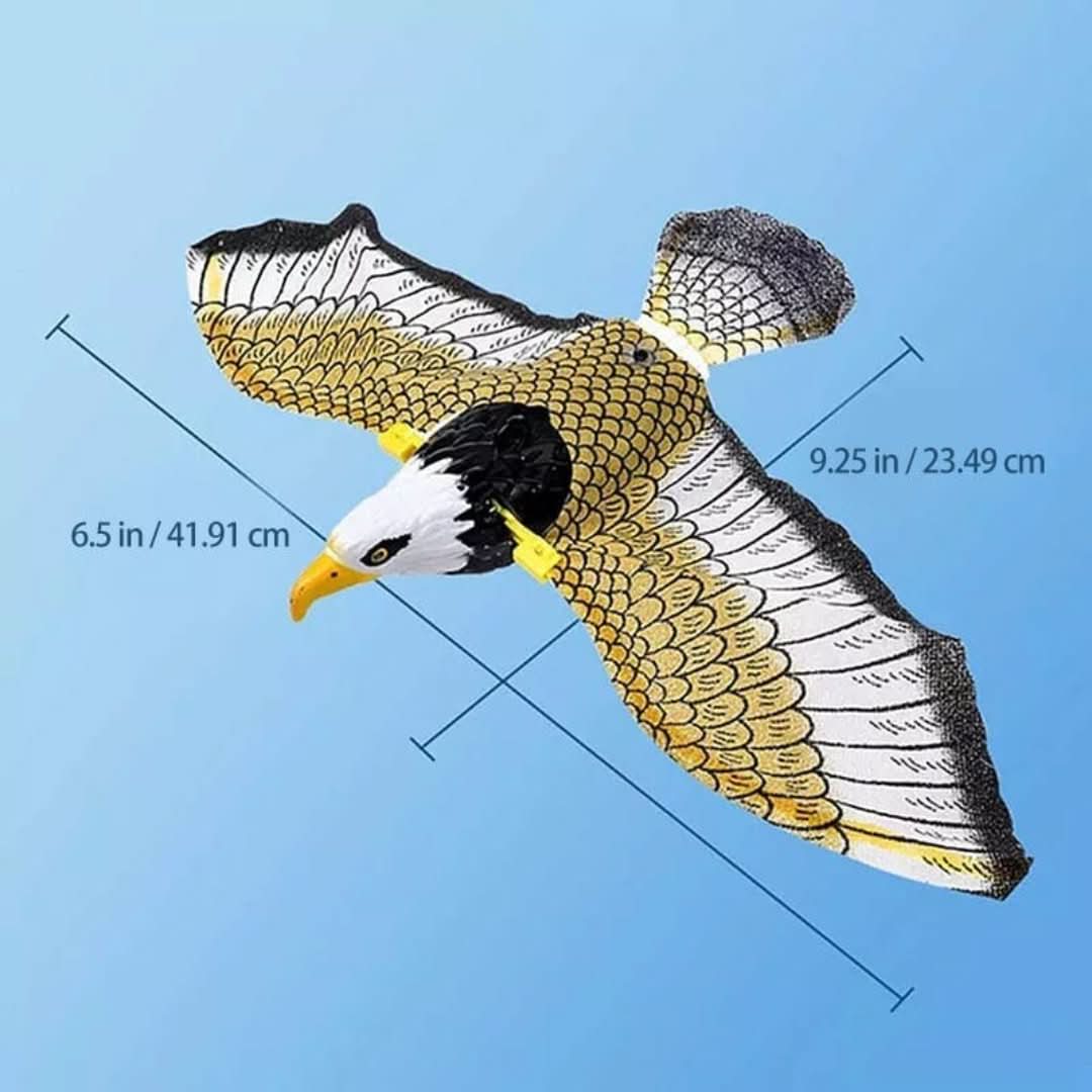 Rynx | Kitty Bird | Simulated Birds