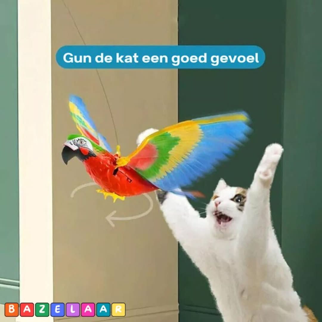 Rynx | Kitty Bird | Simulated Birds