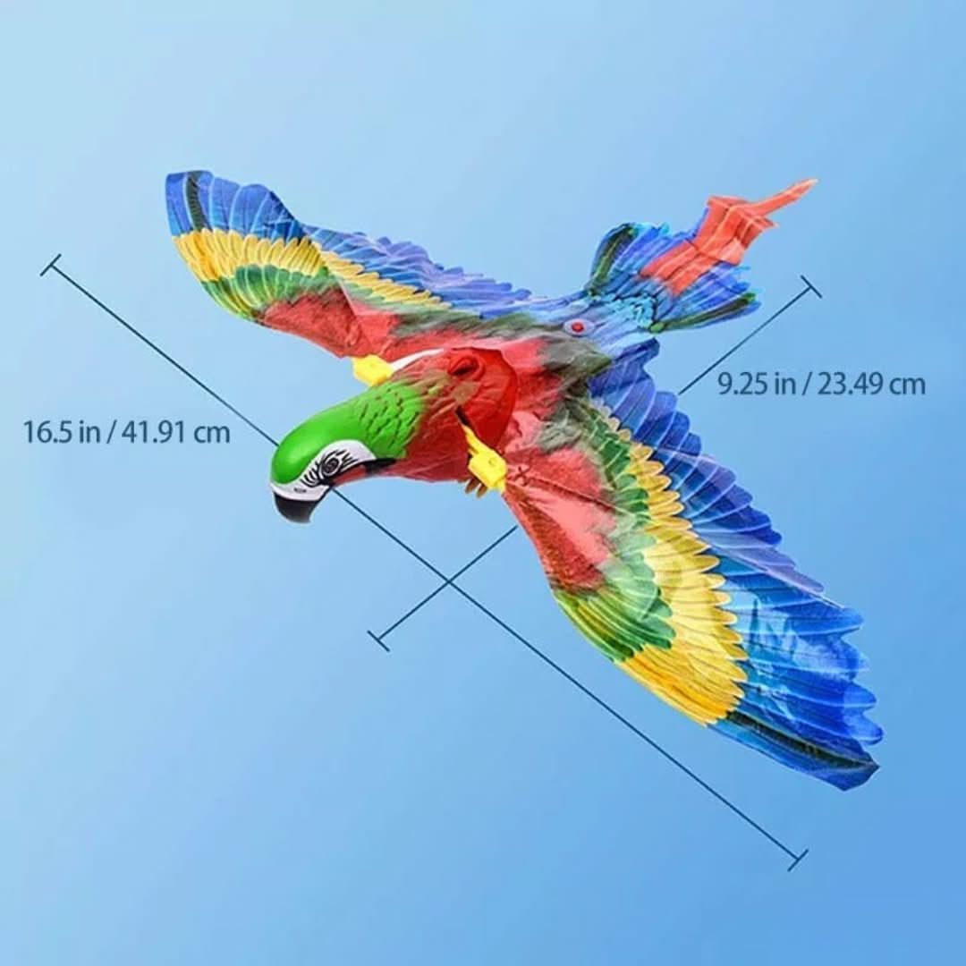 Rynx | Kitty Bird | Simulated Birds