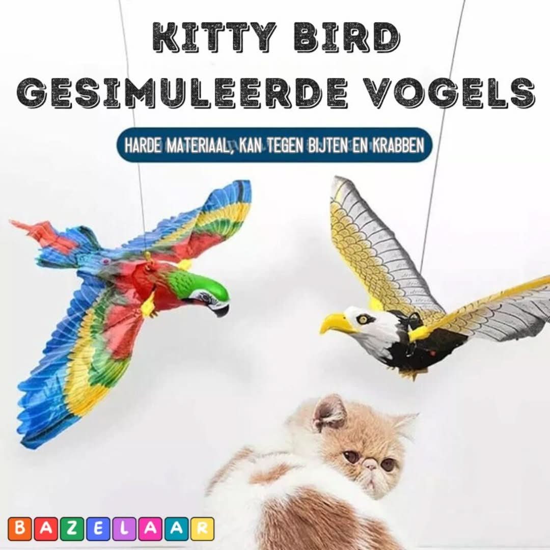 Rynx | Kitty Bird | Simulated Birds