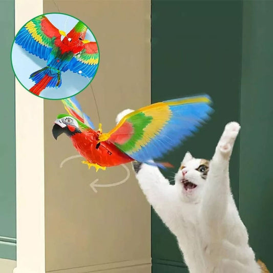 Rynx | Kitty Bird | Simulated Birds