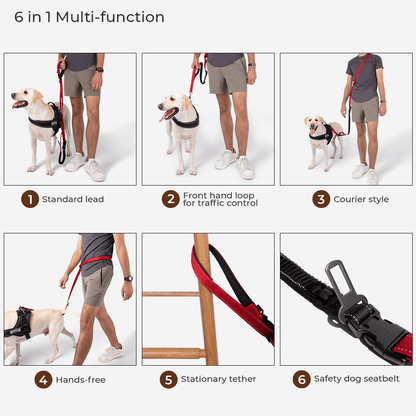 RYNX | Reflective All-Weather Waterproof Cool Dog Accessory Raincoat