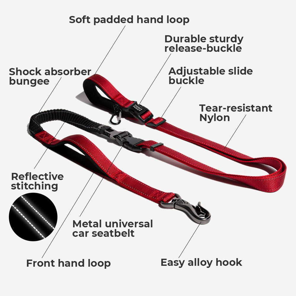 RYNX | Hands Free Dog Leash With Safety Seat Belt